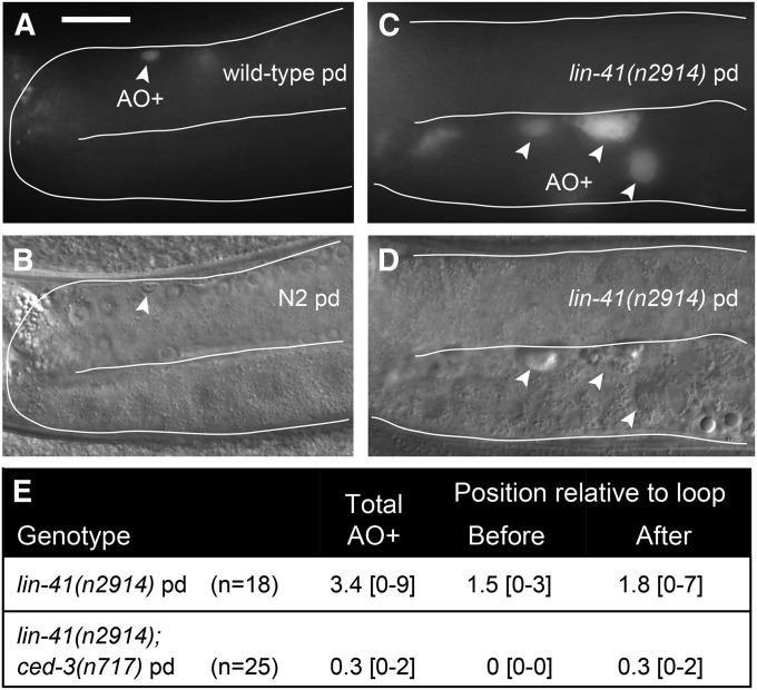 https://cdn.ncbi.nlm.nih.gov/pmc/blobs/dde1/4256770/a504af1f550f/1535fig2.jpg