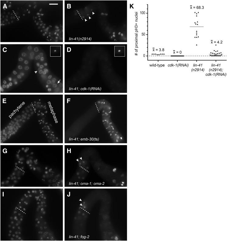 https://cdn.ncbi.nlm.nih.gov/pmc/blobs/dde1/4256770/b47f360494bd/1535fig9.jpg