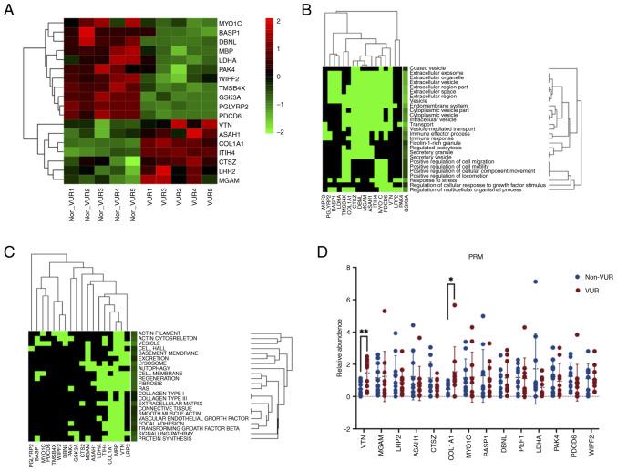 https://cdn.ncbi.nlm.nih.gov/pmc/blobs/dde1/8649849/132d4da89bc2/etm-23-01-10988-g03.jpg