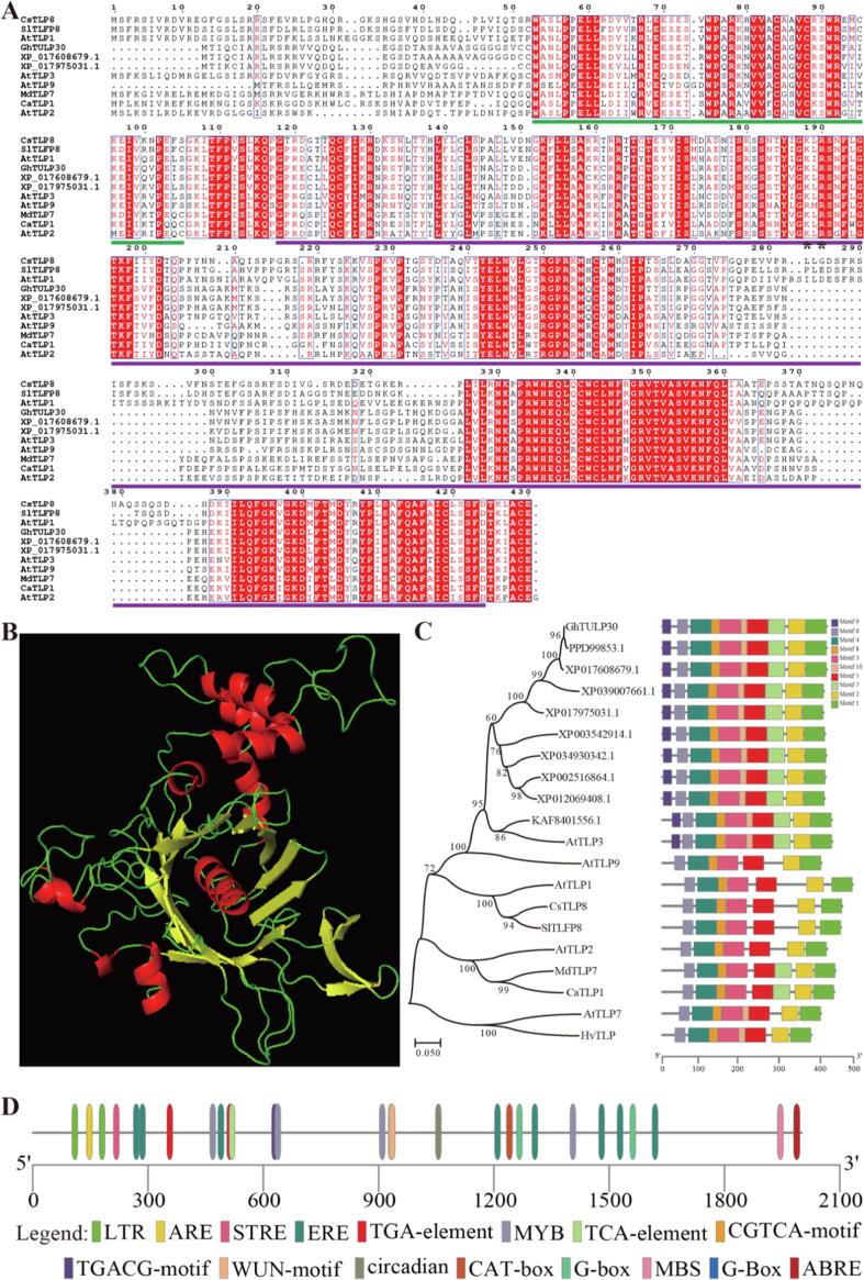https://cdn.ncbi.nlm.nih.gov/pmc/blobs/dde1/9788940/29f4eff73e80/gr1.jpg