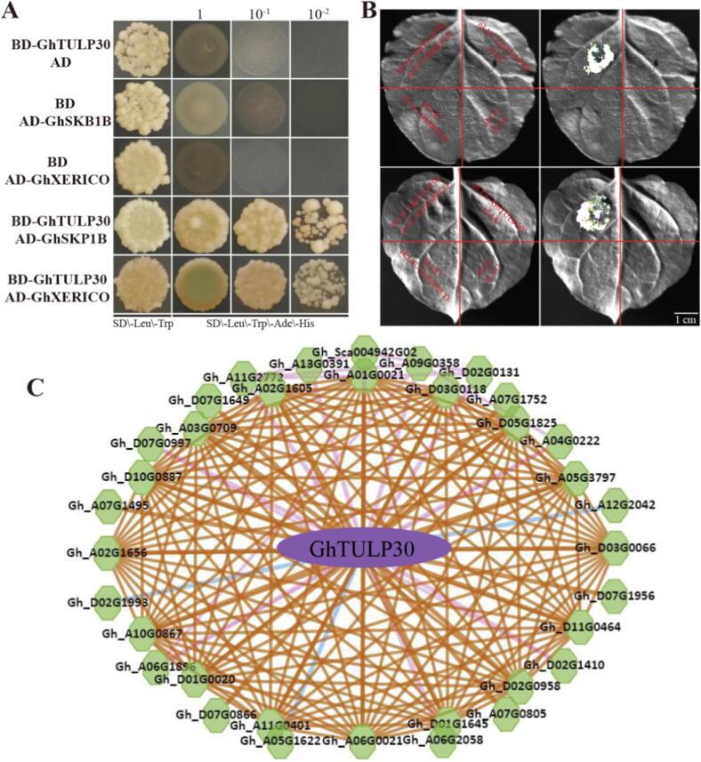 https://cdn.ncbi.nlm.nih.gov/pmc/blobs/dde1/9788940/a79692621ace/gr6.jpg