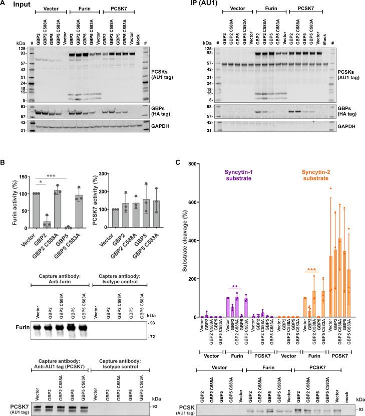 https://cdn.ncbi.nlm.nih.gov/pmc/blobs/dde2/12057675/b5818755407b/sciadv.adt5388-f4.jpg