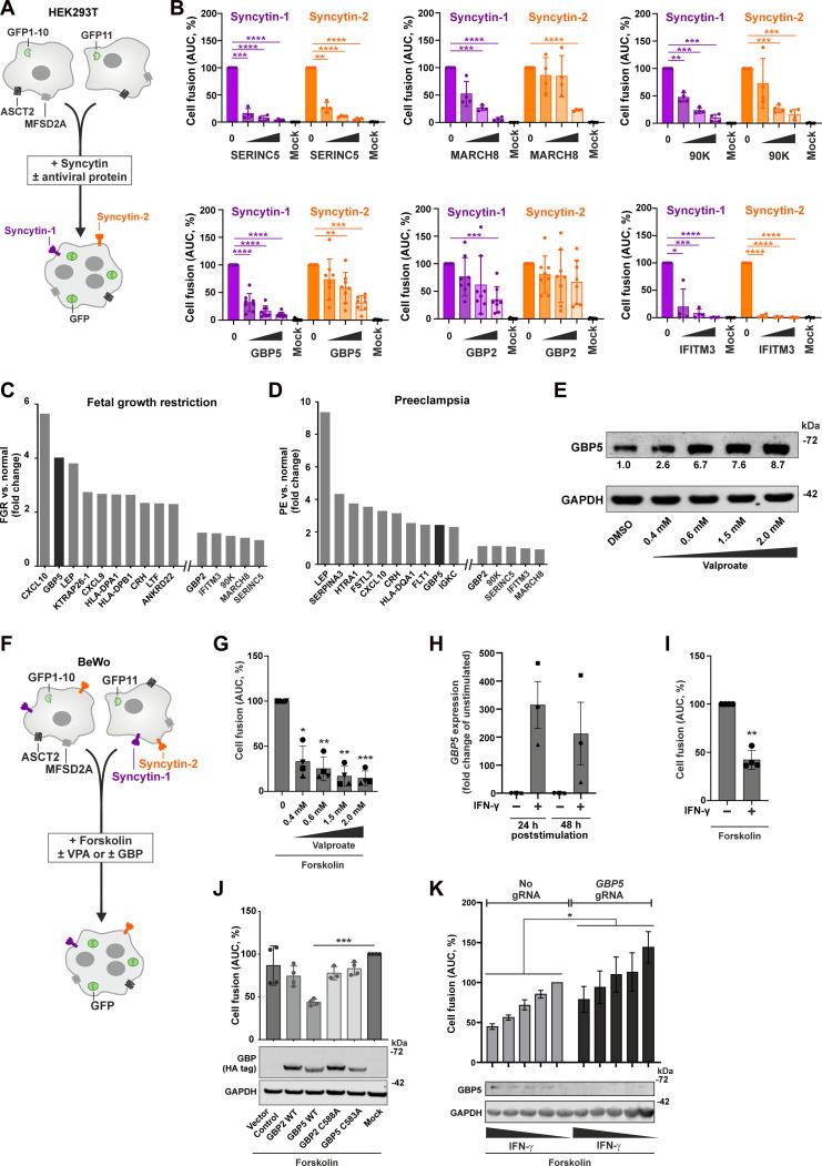 https://cdn.ncbi.nlm.nih.gov/pmc/blobs/dde2/12057675/cf0eace6b85a/sciadv.adt5388-f1.jpg