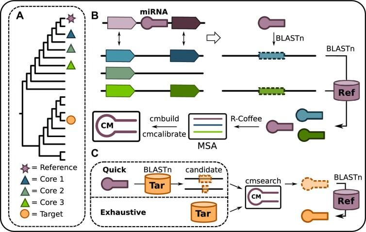 https://cdn.ncbi.nlm.nih.gov/pmc/blobs/dde3/10359484/108162c31b29/gkad467fig1.jpg