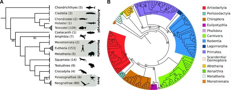 https://cdn.ncbi.nlm.nih.gov/pmc/blobs/dde3/10359484/971915ba6bd1/gkad467fig6.jpg