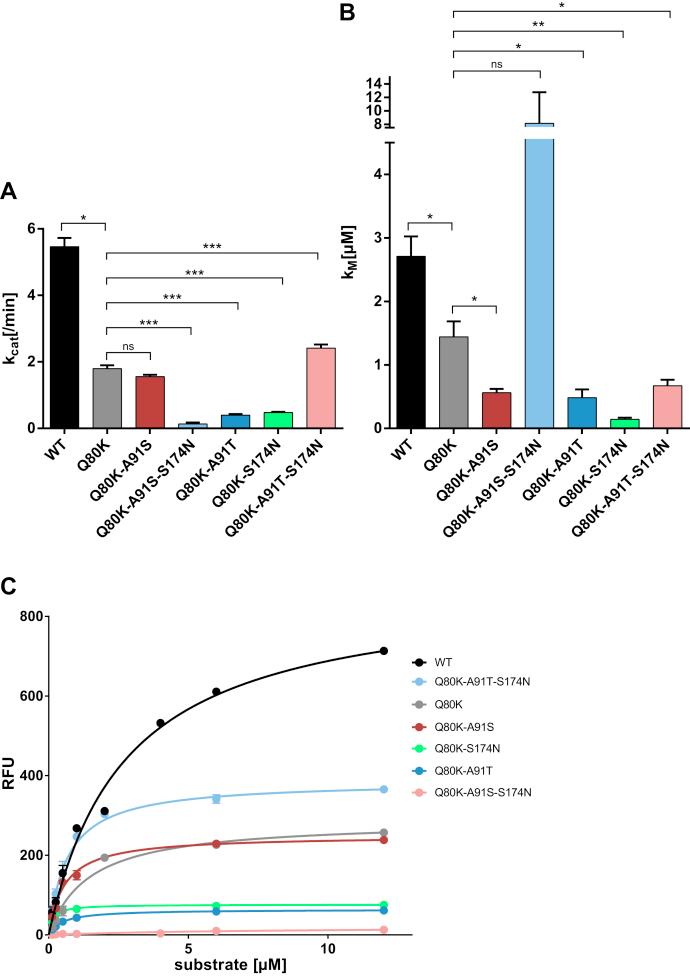 https://cdn.ncbi.nlm.nih.gov/pmc/blobs/dde3/8405986/428c7adc609d/gr4.jpg