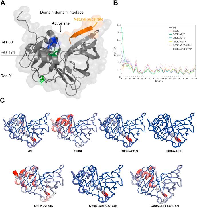 https://cdn.ncbi.nlm.nih.gov/pmc/blobs/dde3/8405986/d3232f96261a/gr5.jpg
