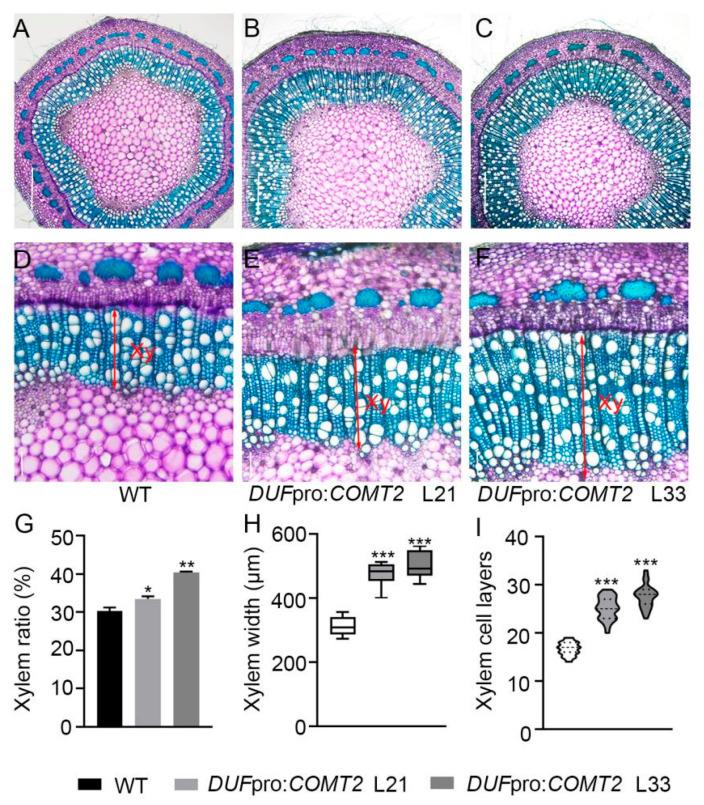 https://cdn.ncbi.nlm.nih.gov/pmc/blobs/dde7/12197300/ffd2ecd34575/plants-14-01739-g004.jpg