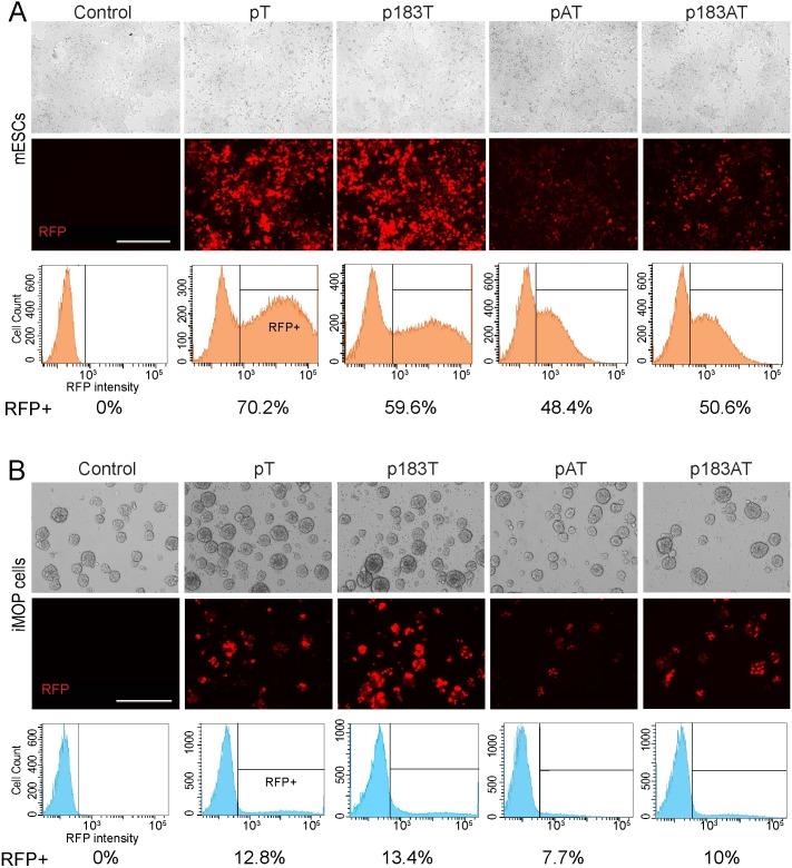 https://cdn.ncbi.nlm.nih.gov/pmc/blobs/dde7/5501616/1870fd492860/pone.0180855.g002.jpg