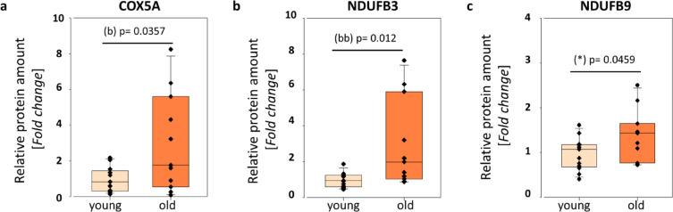https://cdn.ncbi.nlm.nih.gov/pmc/blobs/ddeb/12181353/00eb1259d130/41598_2025_6030_Fig5_HTML.jpg