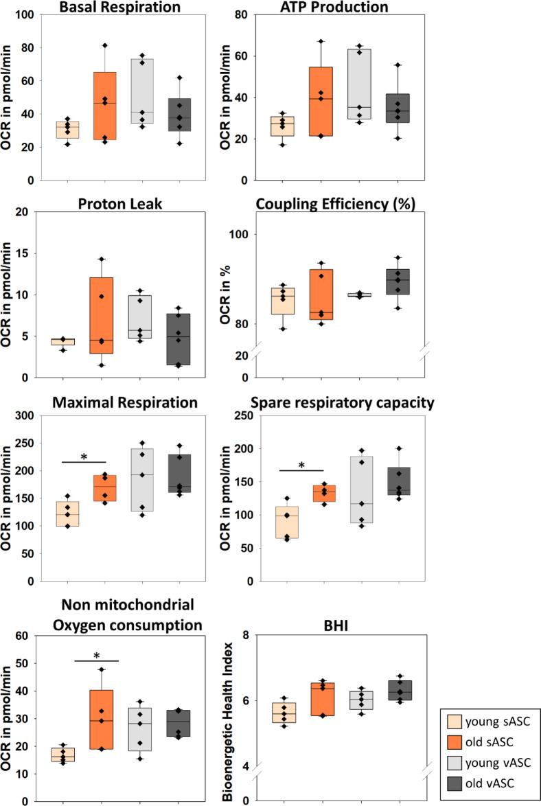 https://cdn.ncbi.nlm.nih.gov/pmc/blobs/ddeb/12181353/6b0de16d6e0f/41598_2025_6030_Fig4_HTML.jpg