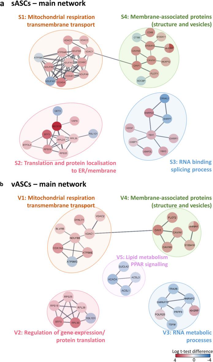 https://cdn.ncbi.nlm.nih.gov/pmc/blobs/ddeb/12181353/f5b9834aaa53/41598_2025_6030_Fig2_HTML.jpg