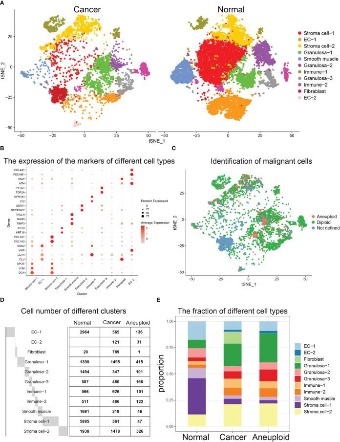 https://cdn.ncbi.nlm.nih.gov/pmc/blobs/ddec/10140397/1ed1044ec6b2/fonc-13-1148628-g001.jpg