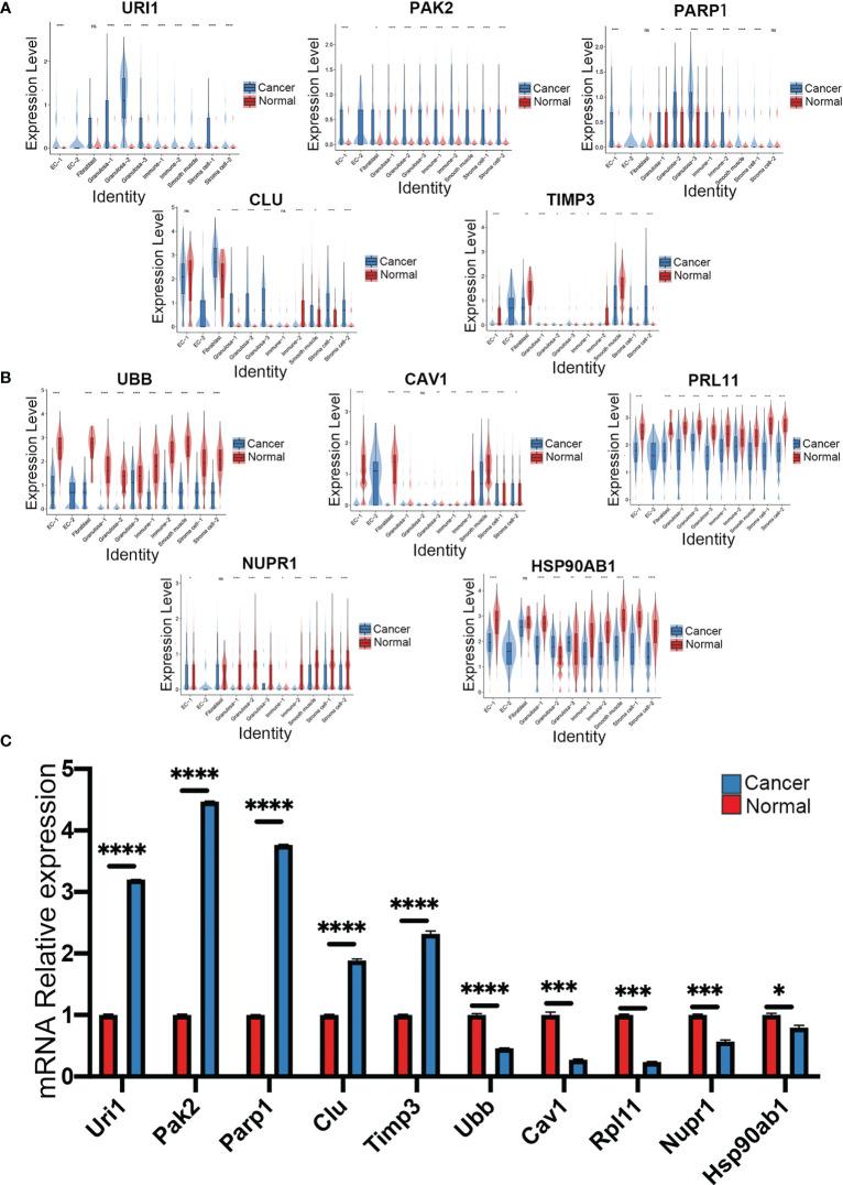 https://cdn.ncbi.nlm.nih.gov/pmc/blobs/ddec/10140397/78e52e30d7f7/fonc-13-1148628-g005.jpg