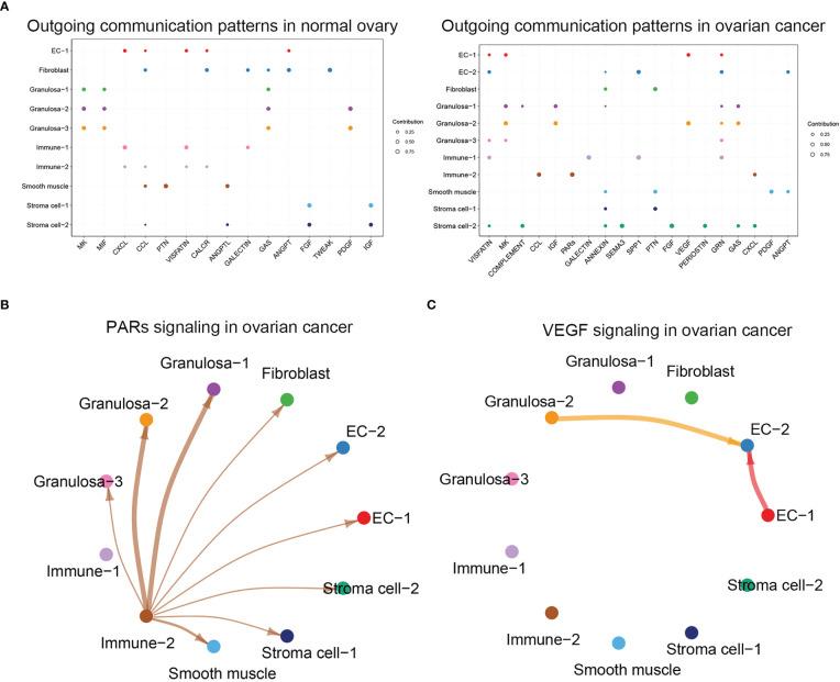 https://cdn.ncbi.nlm.nih.gov/pmc/blobs/ddec/10140397/916aa9de3781/fonc-13-1148628-g003.jpg