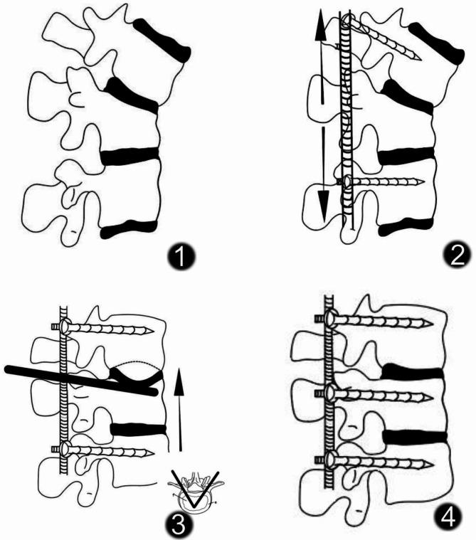 https://cdn.ncbi.nlm.nih.gov/pmc/blobs/ddec/11484464/36d5e0072051/13018_2024_5026_Fig3_HTML.jpg