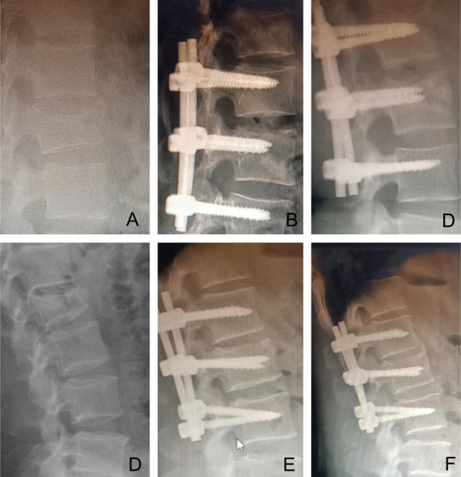 https://cdn.ncbi.nlm.nih.gov/pmc/blobs/ddec/11484464/6dd8603949ab/13018_2024_5026_Fig5_HTML.jpg