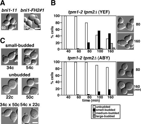 https://cdn.ncbi.nlm.nih.gov/pmc/blobs/ddec/2847527/123f96935b98/zmk0071094100002.jpg