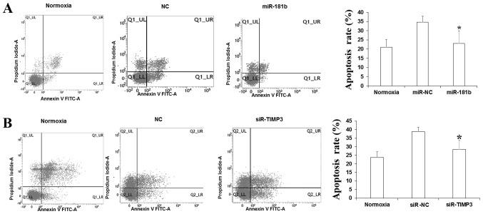 https://cdn.ncbi.nlm.nih.gov/pmc/blobs/ddec/5585881/83936cb0c45c/etm-14-04-2953-g03.jpg