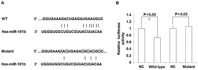 https://cdn.ncbi.nlm.nih.gov/pmc/blobs/ddec/5585881/c3e6f377f4a9/etm-14-04-2953-g04.jpg