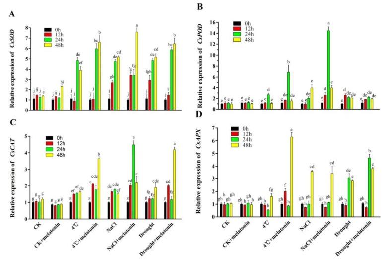 https://cdn.ncbi.nlm.nih.gov/pmc/blobs/dded/6539935/20a58410a53b/molecules-24-01826-g005.jpg