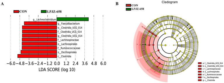 https://cdn.ncbi.nlm.nih.gov/pmc/blobs/ddee/12405372/5b1653f935e7/fmicb-16-1622009-g004.jpg