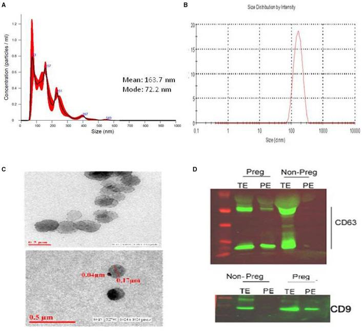 https://cdn.ncbi.nlm.nih.gov/pmc/blobs/ddee/8739800/a372cce31000/fmed-08-758971-g0001.jpg