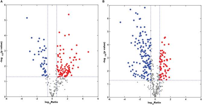 https://cdn.ncbi.nlm.nih.gov/pmc/blobs/ddef/8727700/65088ddf200b/fonc-11-771337-g006.jpg