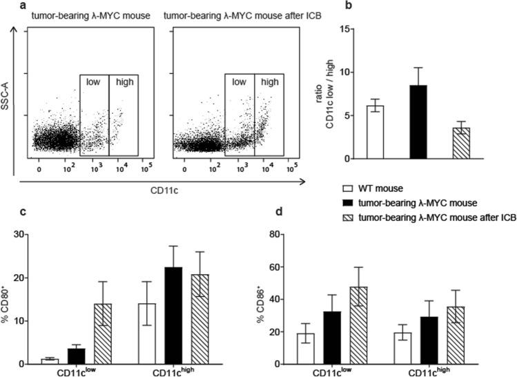 https://cdn.ncbi.nlm.nih.gov/pmc/blobs/ddf1/10992002/f8ce67b6c43b/262_2020_2767_Fig1_HTML.jpg