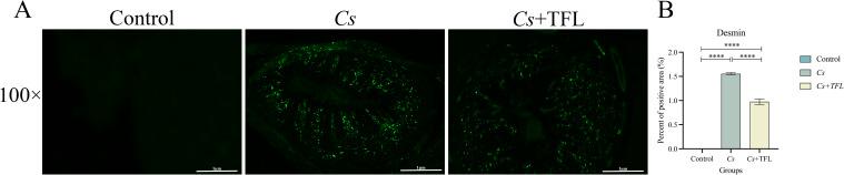 https://cdn.ncbi.nlm.nih.gov/pmc/blobs/ddf1/12343252/c77cc63e8f97/fcimb-15-1625004-g005.jpg