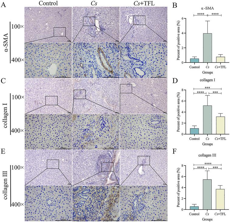 https://cdn.ncbi.nlm.nih.gov/pmc/blobs/ddf1/12343252/e0bde9b7e97e/fcimb-15-1625004-g006.jpg