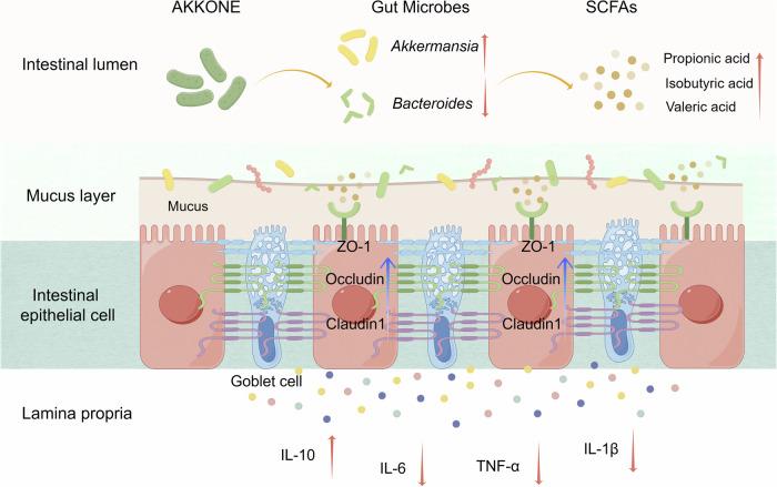 https://cdn.ncbi.nlm.nih.gov/pmc/blobs/ddf2/11576909/a5a3490ffe72/41538_2024_339_Fig7_HTML.jpg