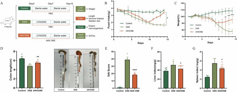 https://cdn.ncbi.nlm.nih.gov/pmc/blobs/ddf2/11576909/c2606c1aea6f/41538_2024_339_Fig1_HTML.jpg