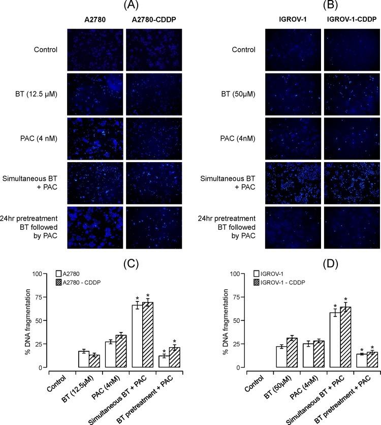 https://cdn.ncbi.nlm.nih.gov/pmc/blobs/ddf5/5607185/ba33796a4890/pone.0185111.g004.jpg