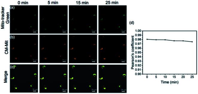 https://cdn.ncbi.nlm.nih.gov/pmc/blobs/ddf5/8966632/410022f58014/d2sc00328g-f6.jpg
