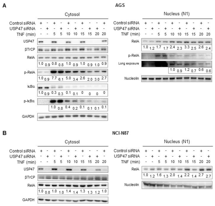 https://cdn.ncbi.nlm.nih.gov/pmc/blobs/ddf6/6027160/57cb1ef941c8/biomedicines-06-00062-g001.jpg
