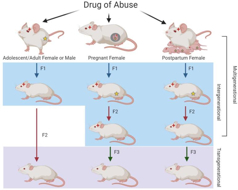 https://cdn.ncbi.nlm.nih.gov/pmc/blobs/ddf6/9307215/0812b133f03a/nihms-1766263-f0001.jpg