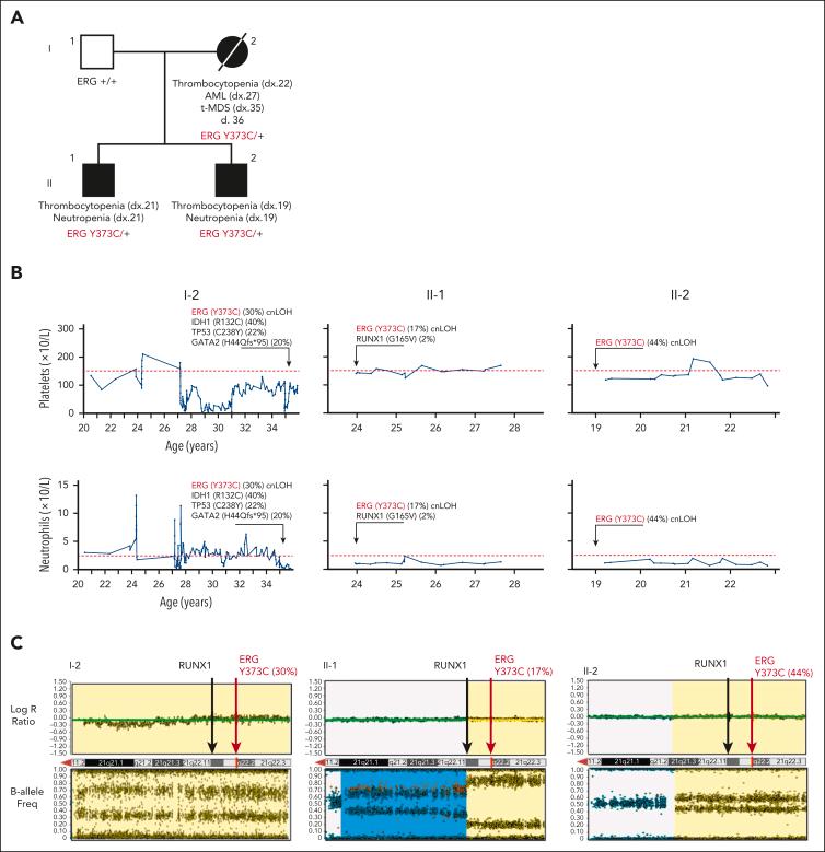 https://cdn.ncbi.nlm.nih.gov/pmc/blobs/ddf7/11530364/45b748c02c02/BLOOD_BLD-2024-024607-gr1.jpg