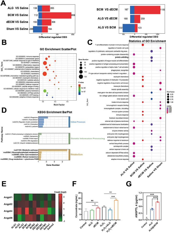 https://cdn.ncbi.nlm.nih.gov/pmc/blobs/ddf7/12199318/bdb9cb3808de/ADVS-12-2500036-g006.jpg