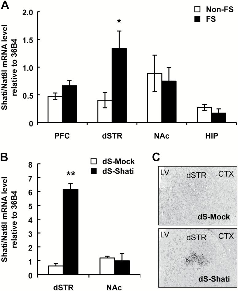 https://cdn.ncbi.nlm.nih.gov/pmc/blobs/ddf7/5716104/77417720d053/pyx07801.jpg