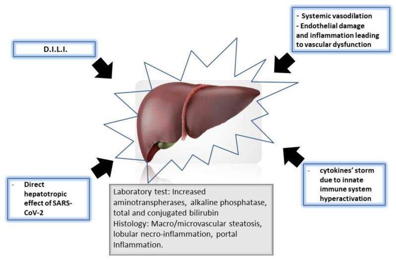 https://cdn.ncbi.nlm.nih.gov/pmc/blobs/ddf8/10136465/1e8cffff5637/cimb-45-00199-g002.jpg