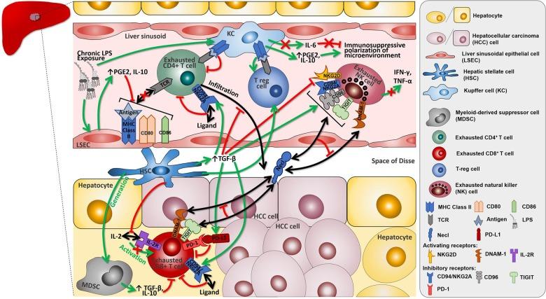 https://cdn.ncbi.nlm.nih.gov/pmc/blobs/ddf9/7190571/364c84f2fe8b/41388_2020_1249_Fig1_HTML.jpg