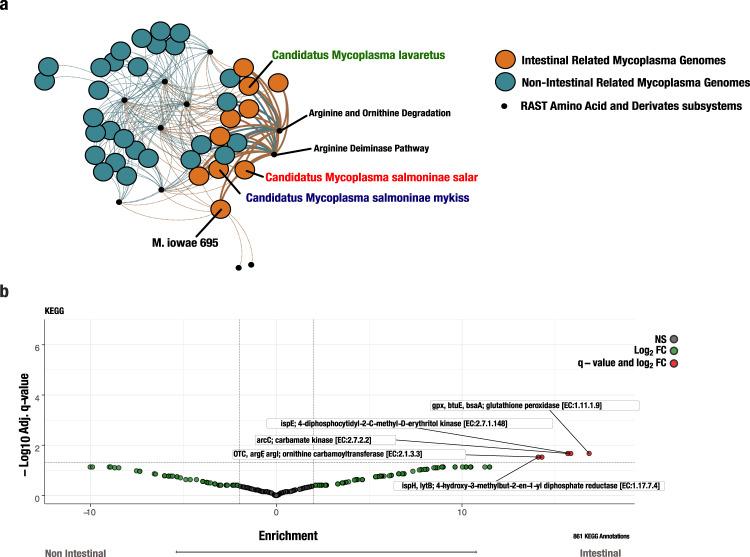 https://cdn.ncbi.nlm.nih.gov/pmc/blobs/ddf9/8121932/8a12109f737c/42003_2021_2105_Fig4_HTML.jpg