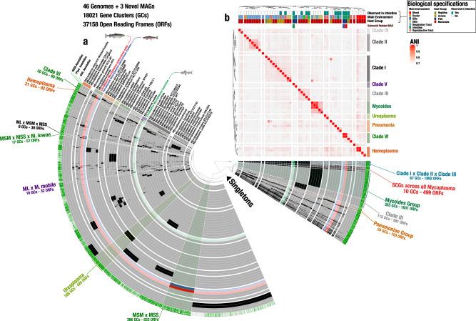 https://cdn.ncbi.nlm.nih.gov/pmc/blobs/ddf9/8121932/9095aa71540a/42003_2021_2105_Fig3_HTML.jpg