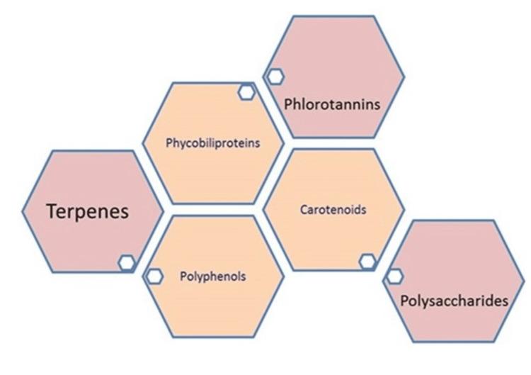 https://cdn.ncbi.nlm.nih.gov/pmc/blobs/ddfd/11387980/829eeafbdfca/cureus-0016-00000066662-i03.jpg