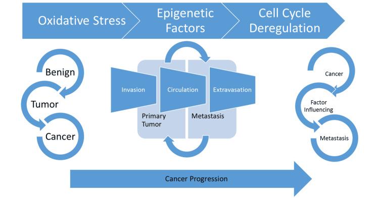 https://cdn.ncbi.nlm.nih.gov/pmc/blobs/ddfd/11387980/b7b07aa5b641/cureus-0016-00000066662-i02.jpg