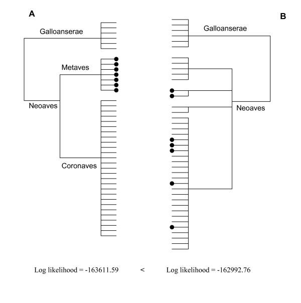 https://cdn.ncbi.nlm.nih.gov/pmc/blobs/ddfd/2259304/4e2c6bd615b7/1471-2148-8-20-1.jpg