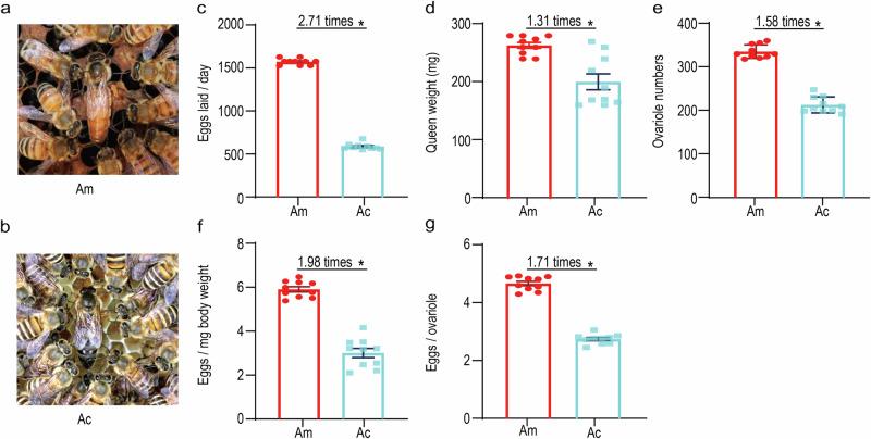 https://cdn.ncbi.nlm.nih.gov/pmc/blobs/ddfe/12284031/d92f0abc7bc3/42003_2025_8526_Fig1_HTML.jpg
