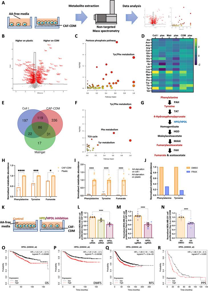 https://cdn.ncbi.nlm.nih.gov/pmc/blobs/ddff/10791009/2f706871c14b/pbio.3002406.g006.jpg