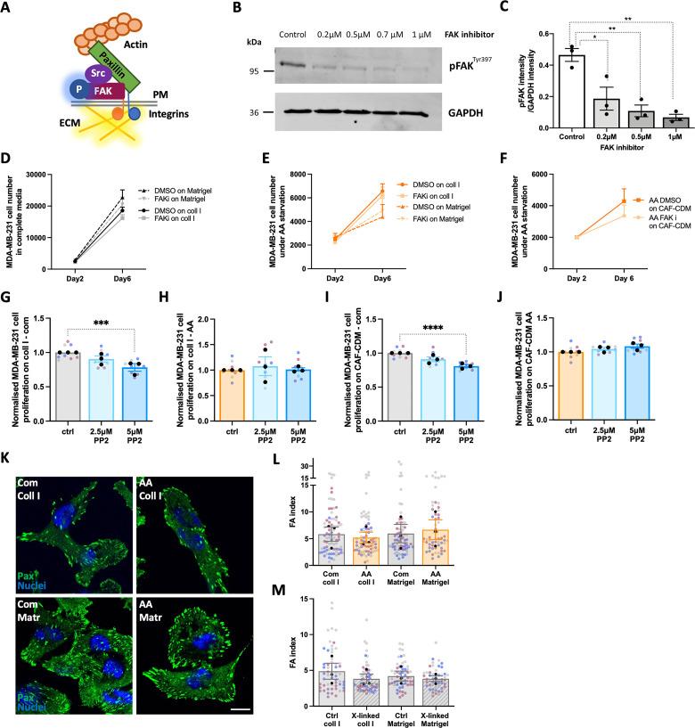 https://cdn.ncbi.nlm.nih.gov/pmc/blobs/ddff/10791009/c7652d1ad94b/pbio.3002406.g005.jpg